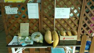 2072950806_FAwUToHu_3