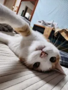 ZFQeunf22OsjX6aHHktlK