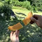 하하멜론